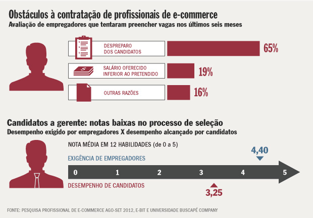 Pesquisa Profissional de E-commerce 2012