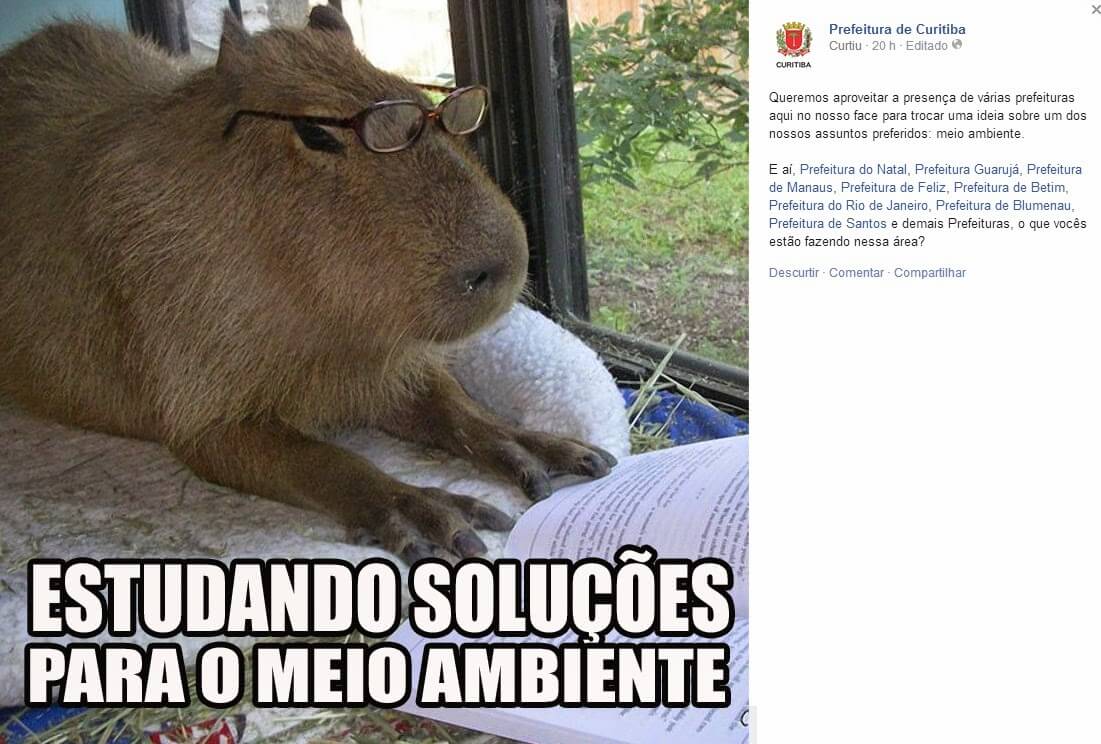 curitiba_capivara